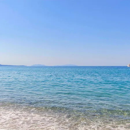 Pet Friendly In דירה *